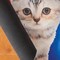Collections Etc Festive Kittens and Presents Shaped Skid-Resistant Mat